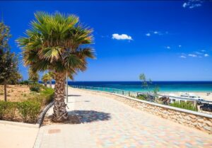 Mil Palmeras ingatlanok Costa Blanca 2026